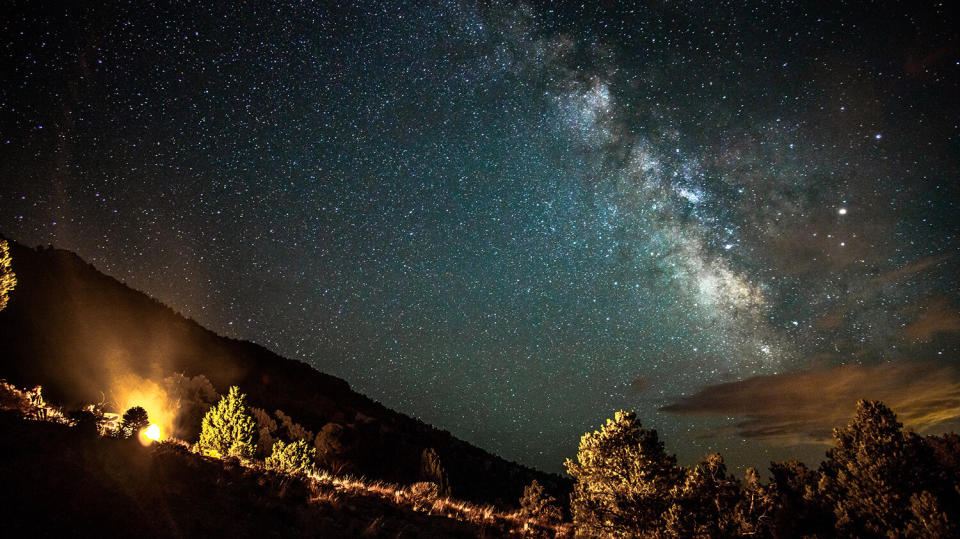 sky full of stars above shrubs at the Massacre Rim Dark Sky National Conservation Area.