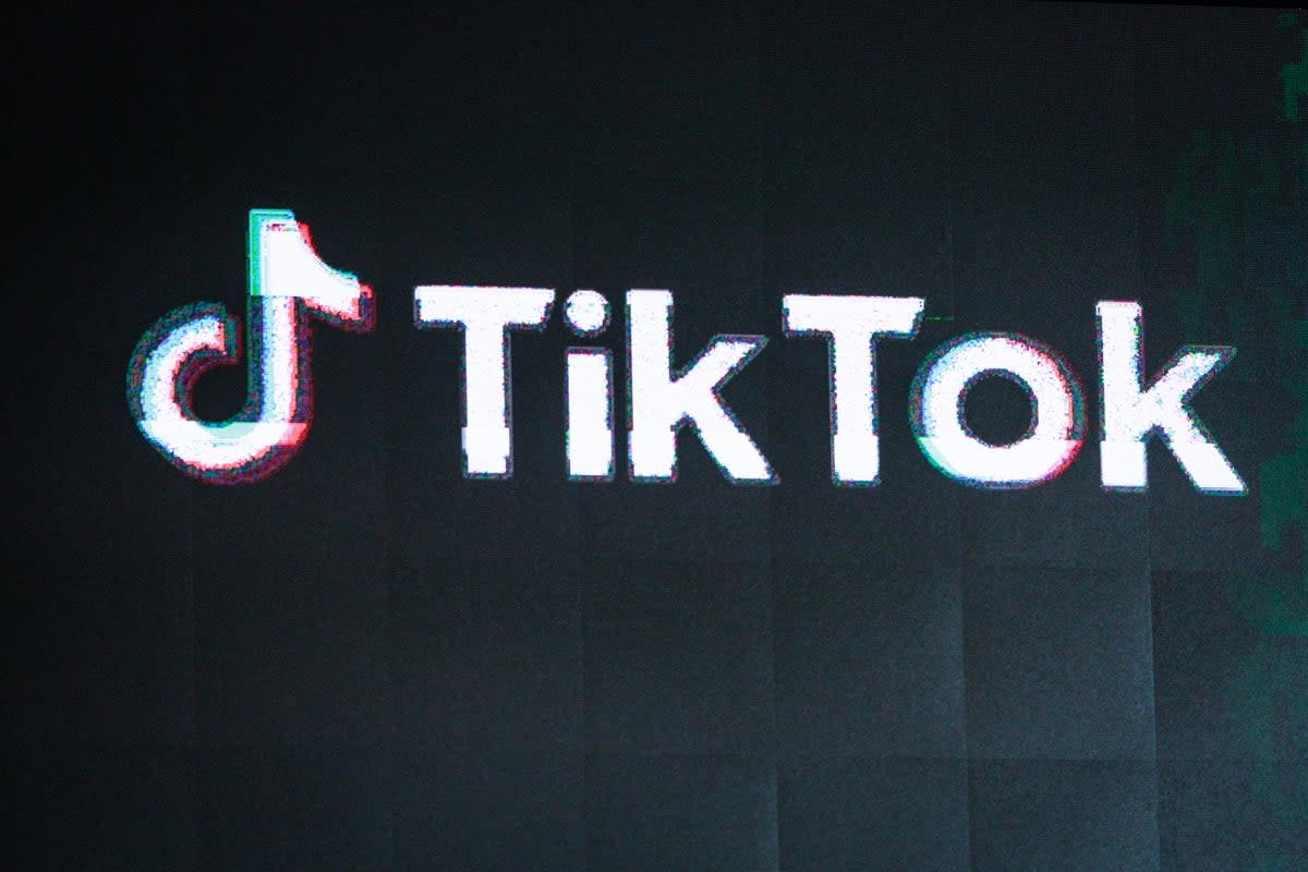 TikTok is one of the most popular apps in the US, amassing more than 170 million users in the country since launching in September 2017  (AFP via Getty Images)