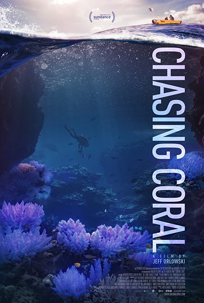 Chasing Coral. Image via IMDB.