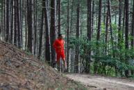 Kosovo's 800 metre runner Musa Hajdari runs in the woods of the village Rogane in Kamenica, Kosovo, July 30, 2016. Hajdari trains in the woods because there was no athletics stadium nearby. The Rio Games will be the first to host athletes competing under the flag of Kosovo. REUTERS/Hazir Reka