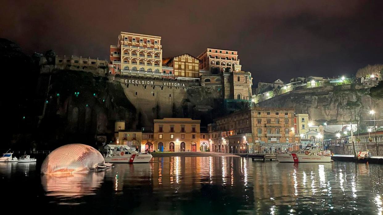 Der Kadaver eines Riesenwals liegt im Hafenbecken von Sorrento. Der riesige, tote Wal gibt den Experten in Italien Rätsel auf.