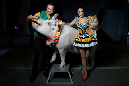 Animal trainers Hans and Mary Klose pose with their animals for a portrait before taking part in the last weekend of the Ringling Bros. and Barnum & Bailey circus at Nassau Coliseum in Uniondale, New York, May 19, 2017. REUTERS/Lucas Jackson