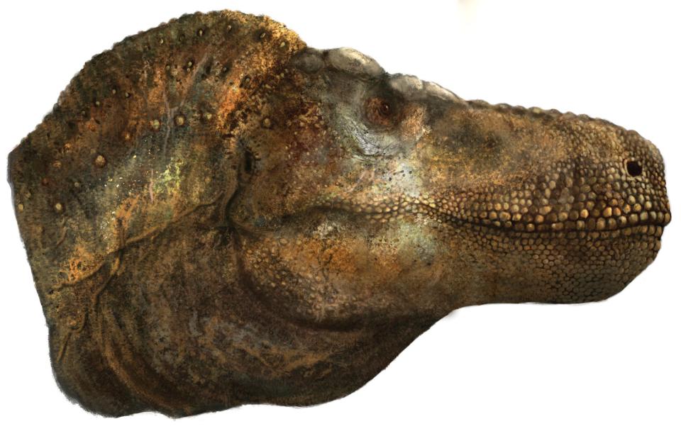 Lips concealed the teeth of a Tyrannosaurus rex when its mouth was closed, according to new research.