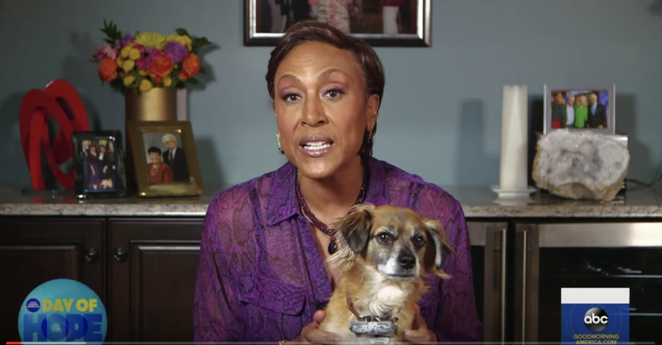 Robin Roberts and her dog Lukas appear on "Good Morning America." (Photo: YouTube) 