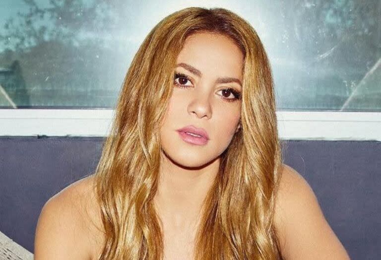 Shakira sorprendió a todos al reunirse con la madre de su ex, Antonio de la Rúa (Foto: Instagram @shakira)