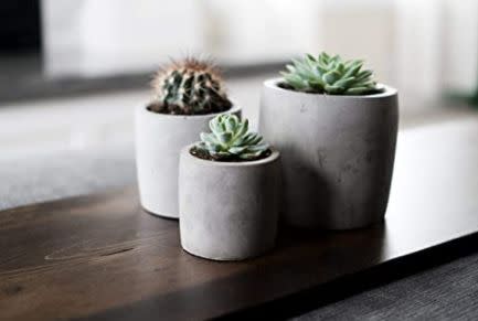 This Utah-based Amazon Handmade shop specializes in modern, minimalist home decor. Find these <a href="https://amzn.to/3g7Yk2X" target="_blank" rel="noopener noreferrer">concrete succulent pots</a> for $65.