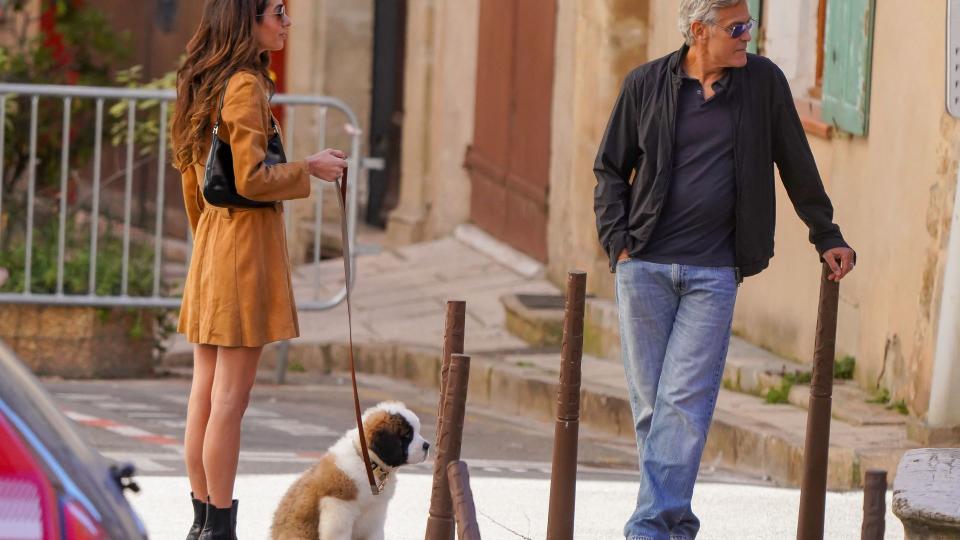 The Clooneys' puppy appeared to be well behaved on his walk