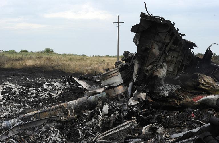 A picture taken on July 18, 2014 shows the wreckages of the Malaysia Airlines jet a day after it crashed, near the town of Shaktarsk, in rebel-held east Ukraine