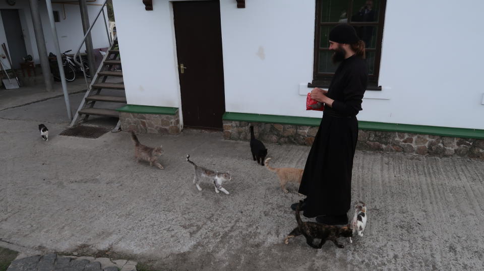 Wenn Bruder Maksym zur Fütterung ruft, kommen die Katzen aus allen Ecken des Klosters angelaufen (Bild: Tobias Huch)