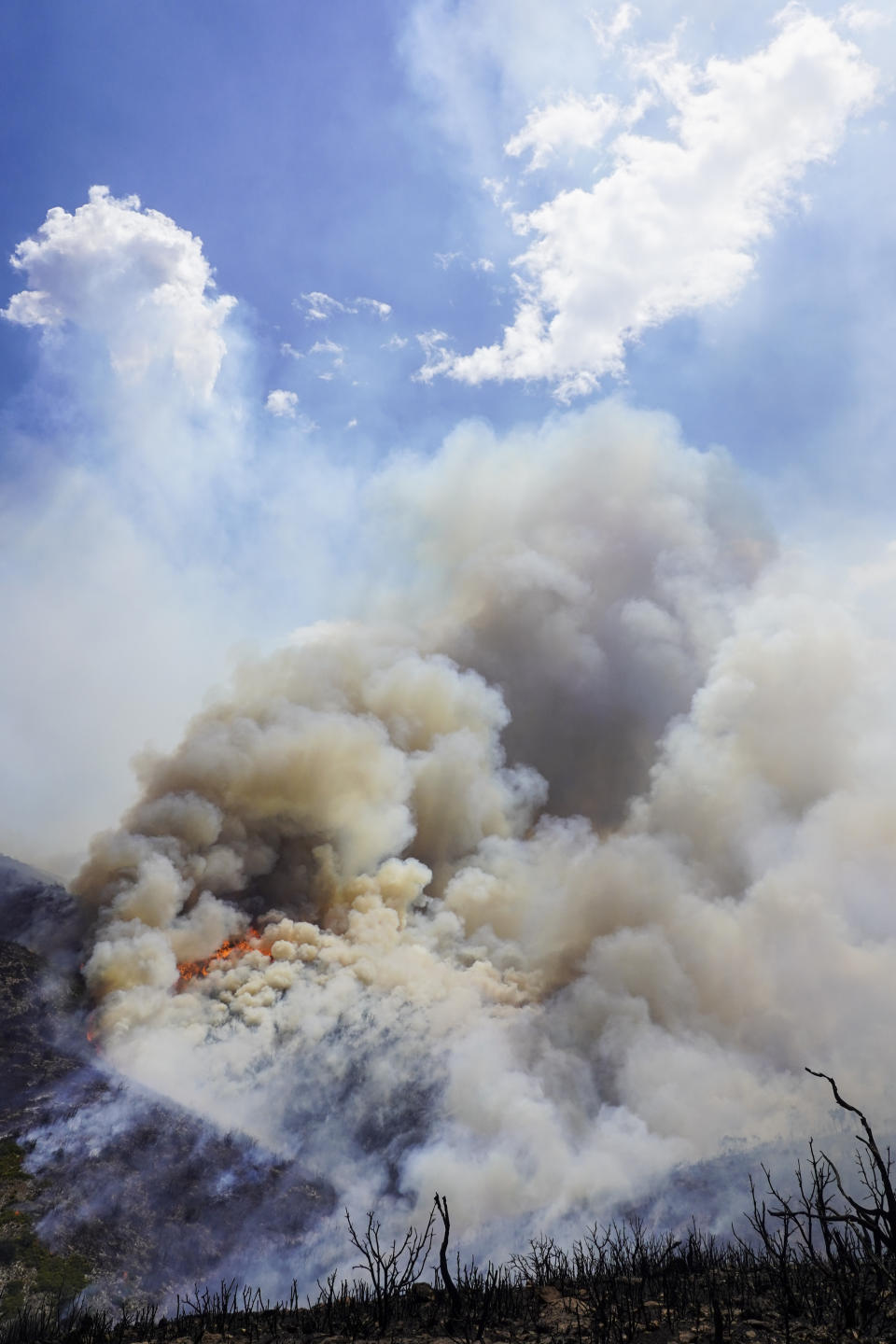 A cloud of smoke rises during a wildfire near Alcublas, eastern Spain, on Thursday, Aug. 18, 2022. The European Forest Fire Information System says 275,000 hectares (679,000 acres) have burned in wildfires so far this year in Spain. That's more than four times the country's annual average of 67,000 hectares (165,000 acres) since 2006, when records began. (AP Photo/Alberto Saiz)