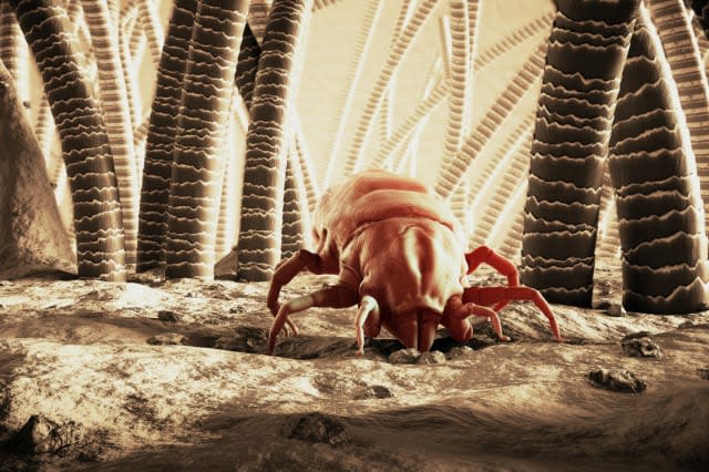 3D Rendering Of A Dust Mite