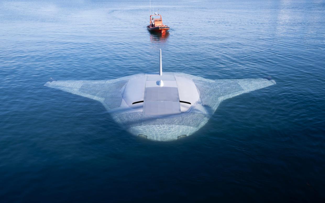 The craft is several times larger than a small boat and is part of a US navy project to develop a new class of underwater drone capable of carrying out longer missions