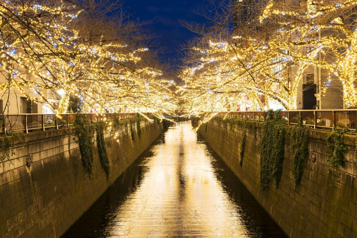 illuminated rows of cherry trees surround the meguro river during the christmas season at dusk, which millions of led lights reflect to river from both side of riverbank at meguro tokyo japan on december 19 2017