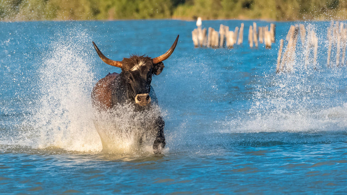 Wall Street's most bullish strategist cites the 'big surprise' that sent stocks higher: the morning brief