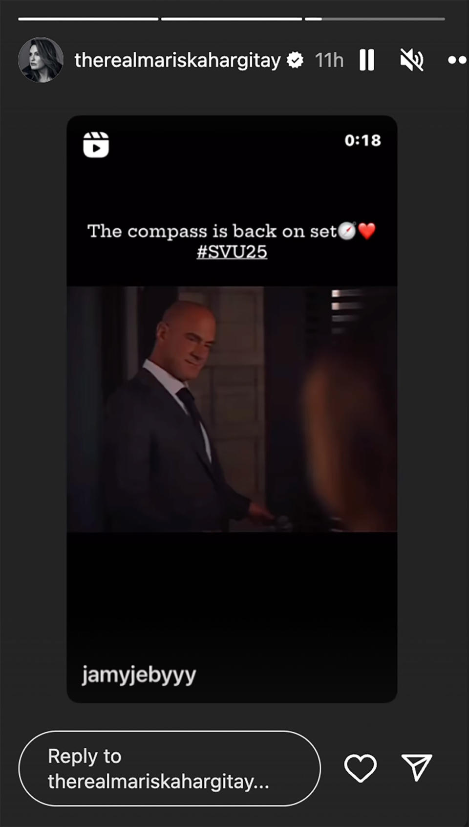 Mariska Hargitay's Instagram Story Stabler