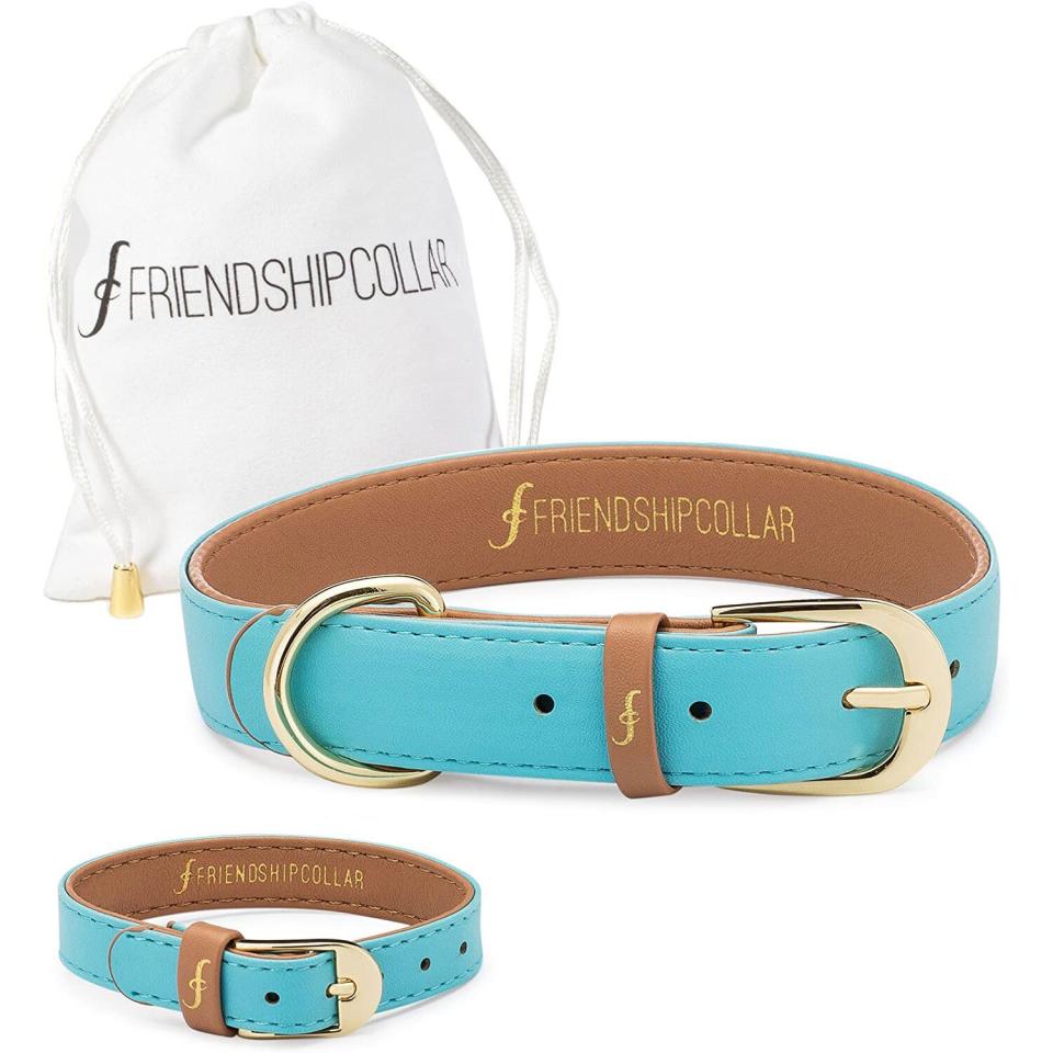 friendship collar