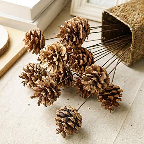 25) Snowy Golden Pinecone