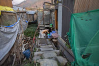 A Kashmiri woman collects water outside their shanty over the Dal Lake in Srinagar, Indian controlled Kashmir, Thursday, Sept. 16, 2021. Weeds, silt and untreated sewage are increasingly choking the sprawling scenic lake, which dominates the city and draws tens of thousands of tourists each year. (AP Photo/Mukhtar Khan)