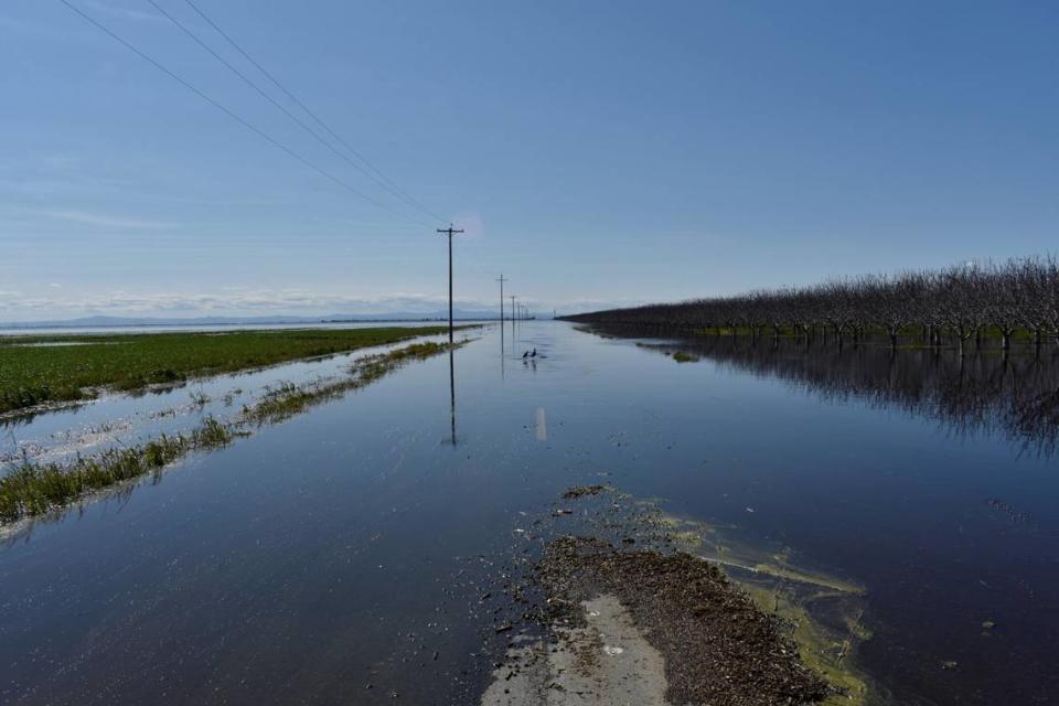 Multiple species of birds flocked to the lakebed of Tulare Lake on Ave. 120, halfway between Corcoran and Alpaugh in Tulare County, on April 4, 2023. Though the extensive rains from atmospheric rivers have stopped, the floods haven’t. The water’s edge shifts daily, and the expected snowmelt from the Sierra Nevada could worsen flood conditions across the Central Valley.