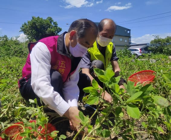 增進農民收益　五結鄉好事花生行銷發表會