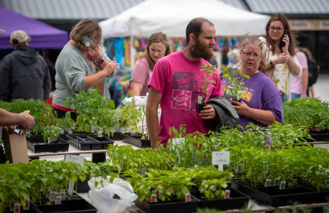 Johnathon LaMont and Patricia Manser of Excelsior Springs, Missouri, shopped for vegetable plants during a stop at the City Market on Saturday, May 8, in Kansas City. Tammy Ljungblad/tljungblad@kcstar.com