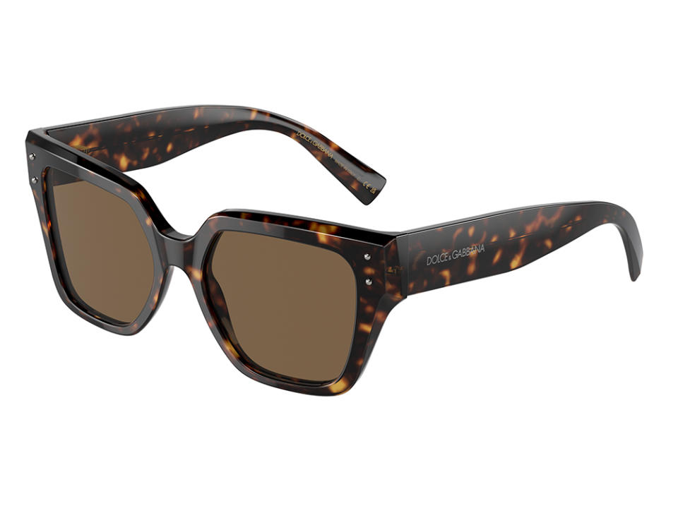 Dolce & Gabbana D&G Sharped Sunglasses in Brown Acetate