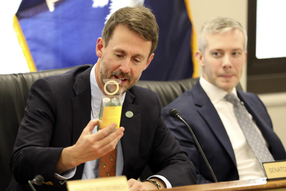 StateSen. Thomas McElveen, D-Sumter, looks at a Venus fly trap plant during a hearing on a bill to make it the state's official carnivorous plant on Tuesday, March 21, 2023, in Columbia, S.C. (AP Photo/Jeffrey Collins)