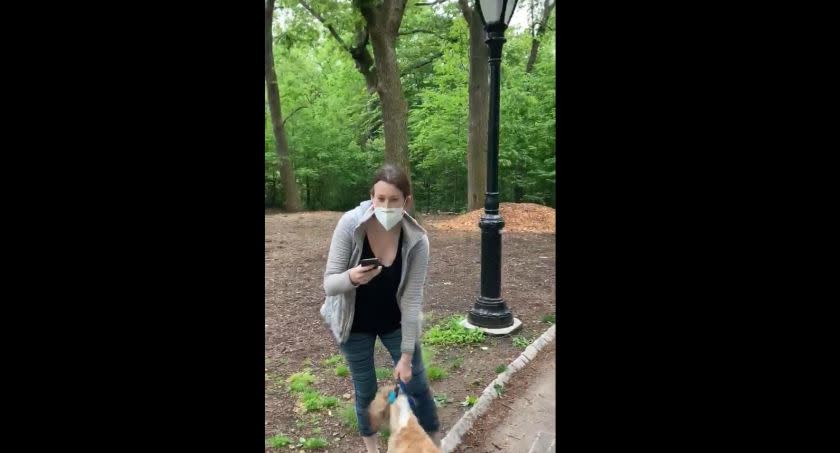 A widely watched video of a confrontation in Central Park has sparked accusations of racism.