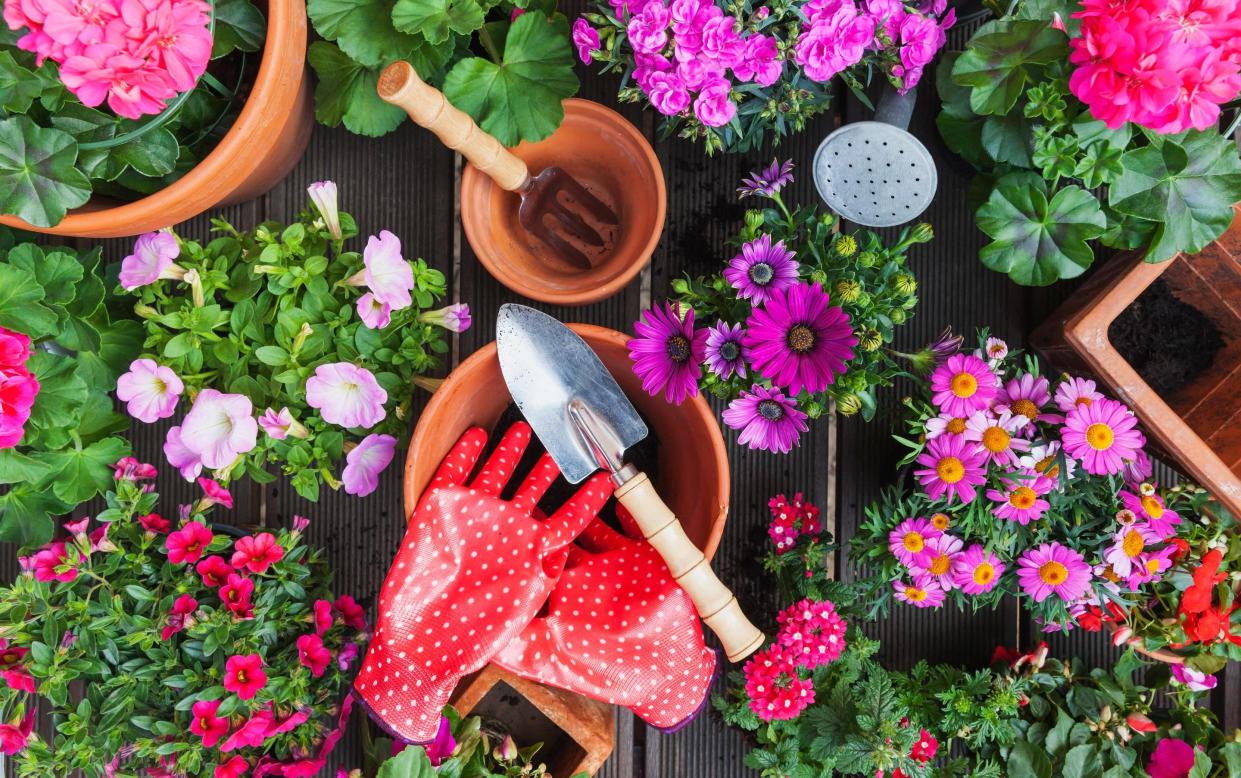 best gardening tools beginners 2021 - Getty Images 