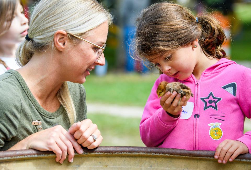 Aiofe Leon holds a baby chick as Monroe County Poultry Leader Krissi Livingston talks to her about the animal during Children's Farm Festival at Peden Farm on Thursday, Sept. 29, 2022.