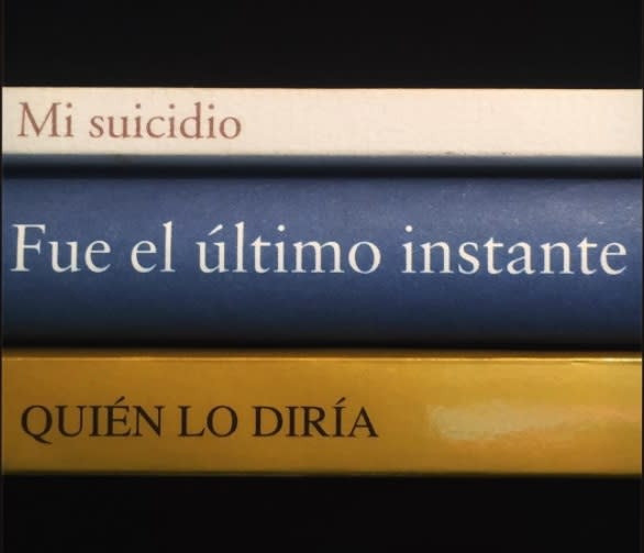 <p>“Tengo estanterías llenas de libros a los dos lados de mi cama. Los títulos no estaban pegados, pero si lo suficientemente cerca como para que se me ocurriera juntarlos”, contó Luis en una entrevista para <em><a rel="nofollow noopener" href="http://verne.elpais.com/verne/2017/05/15/articulo/1494866737_425272.html" target="_blank" data-ylk="slk:El País;elm:context_link;itc:0;sec:content-canvas" class="link ">El País</a></em>. </p>