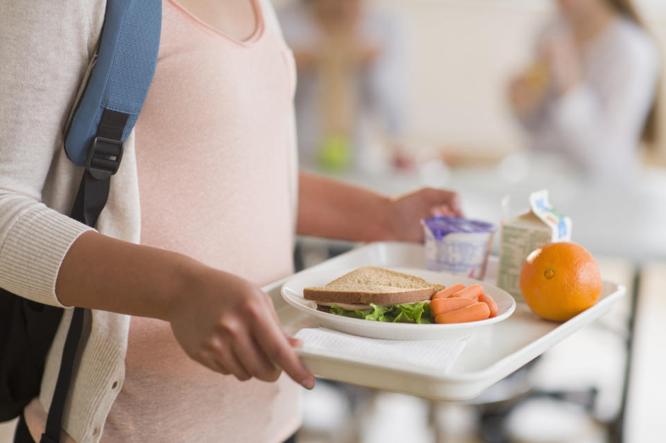 close up of hands holding a school lunch tray