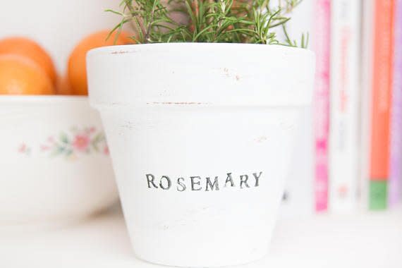 Herb pot