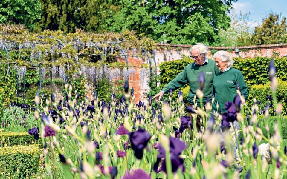  Among irises in the walled garden - andrew crowley