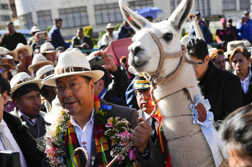 Bolivian President Luis Arce arrives with a llama to an event celebrating that the UN named 2024 as the International Year of Camelids, in La Paz, Bolivia, May 7, 2024. (AP Photo/Juan Karita)