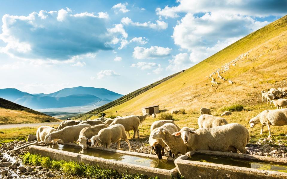 The mountains colour the region’s cuisine