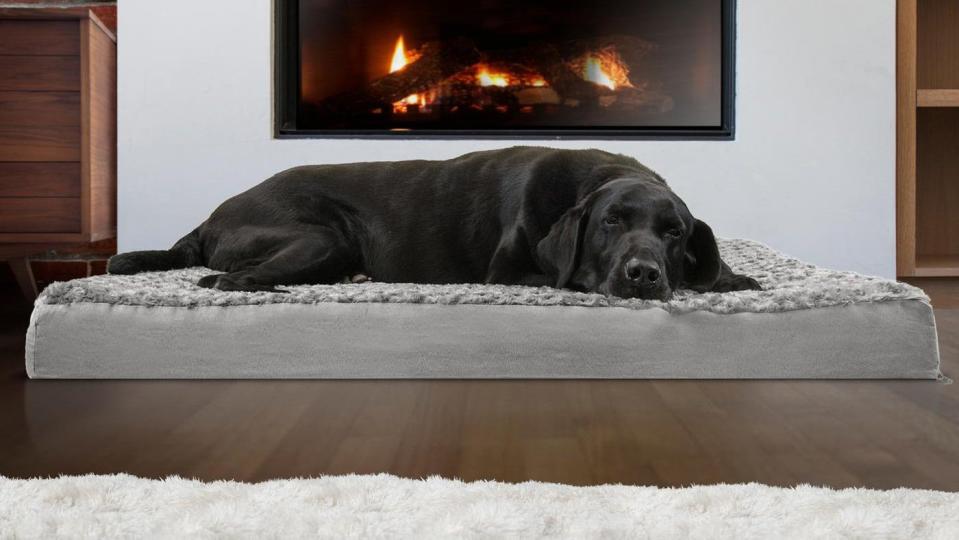 Ease your senior or disabled pet's pain with this bed.