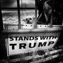 <p>A dog is seen next to a campaign sign at a Trump rally in the Woodlands, Texas. (Photo: Holly Bailey/Yahoo News) </p>