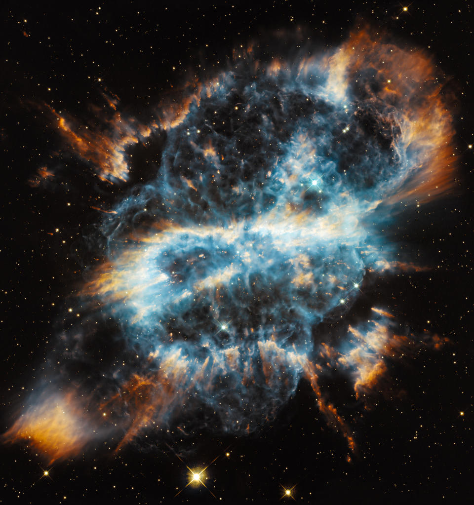 NASA has said 'Merry Christmas' with this festive picture of a a nearby planetary nebula NGC 5189. Scientists used the Hubble space telescope to take the image that looks like a Christmas-tree ornament with a glowing ribbon inside. Planetary nebulae are huge clouds of gas in space - the final stage of life in a medium-sized star like our Sun.