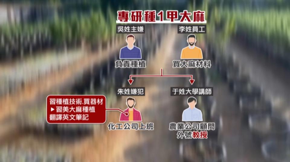 主嫌找來多位專業人士，研究加速種植大麻的過程。（圖／東森新聞）