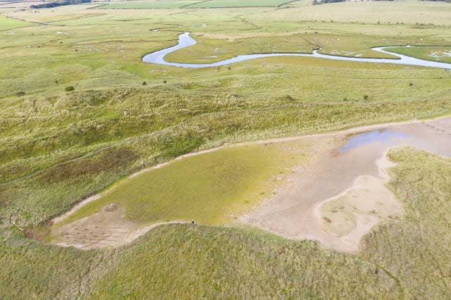 An artist has created a giant image of a seal and her pup using the natural contours of an iconic beach which is famous for the marine mammals