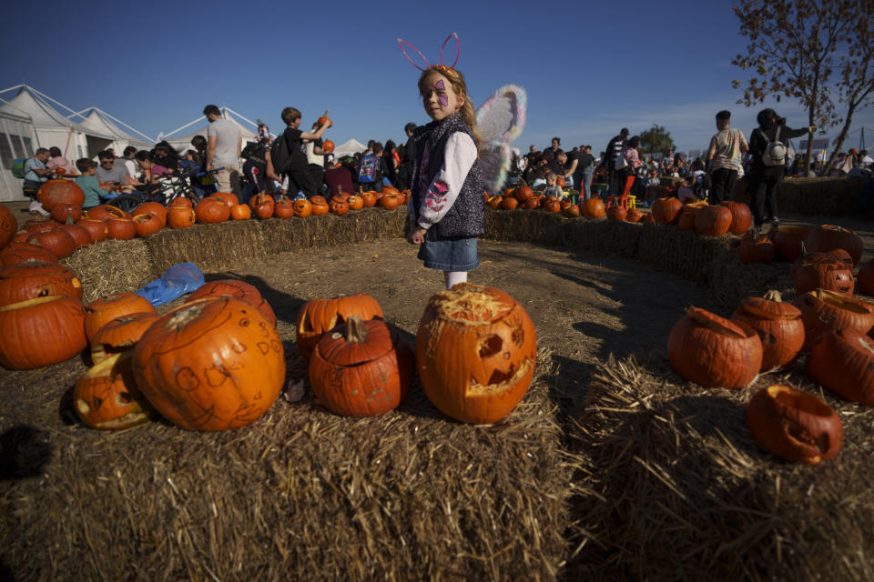 A child is surrounded by carved pumpkins at the West Side Hallo Fest, a Halloween festival in Bucharest, Romania, Saturday, Oct. 28, 2023. Tens of thousands streamed last weekend to Bucharest's Angels' Island peninsula for what was the biggest Halloween festival in the Eastern European nation since the fall of Communism. (AP Photo/Andreea Alexandru)