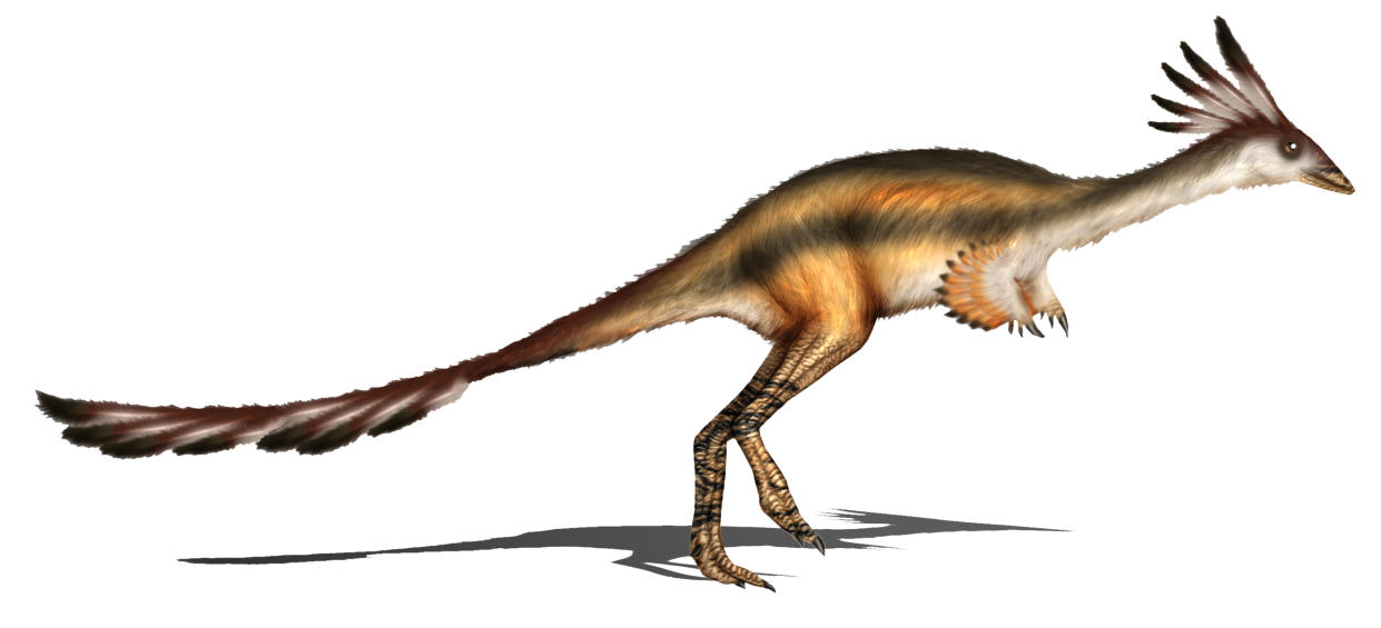 Reconstrucción de la especie Alvarezsaurus calvoi
Crédito: By User:Karkemish - Own work, CC BY 3.0, https://commons.wikimedia.org/w/index.php?curid=7638853 