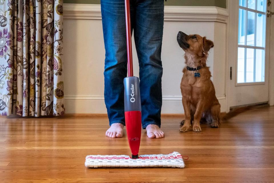 Dog looking up at person using the O-Cedar mop on their floors