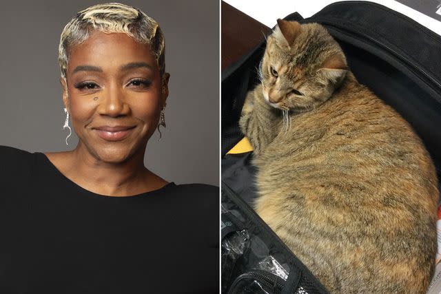 <p>Ben Trivett/Shutterstock for PEOPLE; Tiffany Haddish/Instagram</p> Tiffany Haddish and cat Catonic