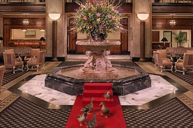 peabody ducks in lobby at the peabody memphis