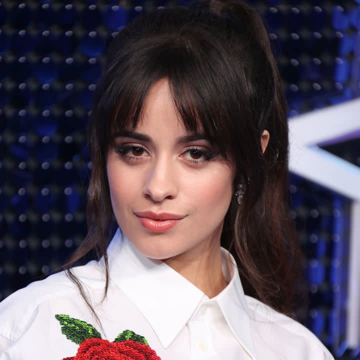 Camila on the red carpet