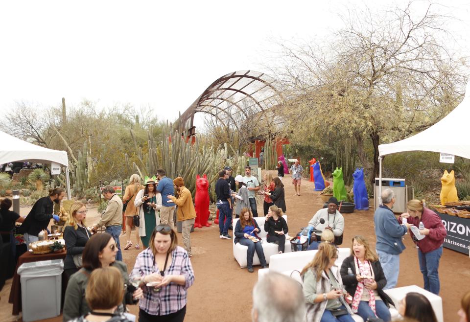 Guests pack Desert Botanical Garden during Devour 2020 in Phoenix, Ariz. on Feb. 23, 2020.