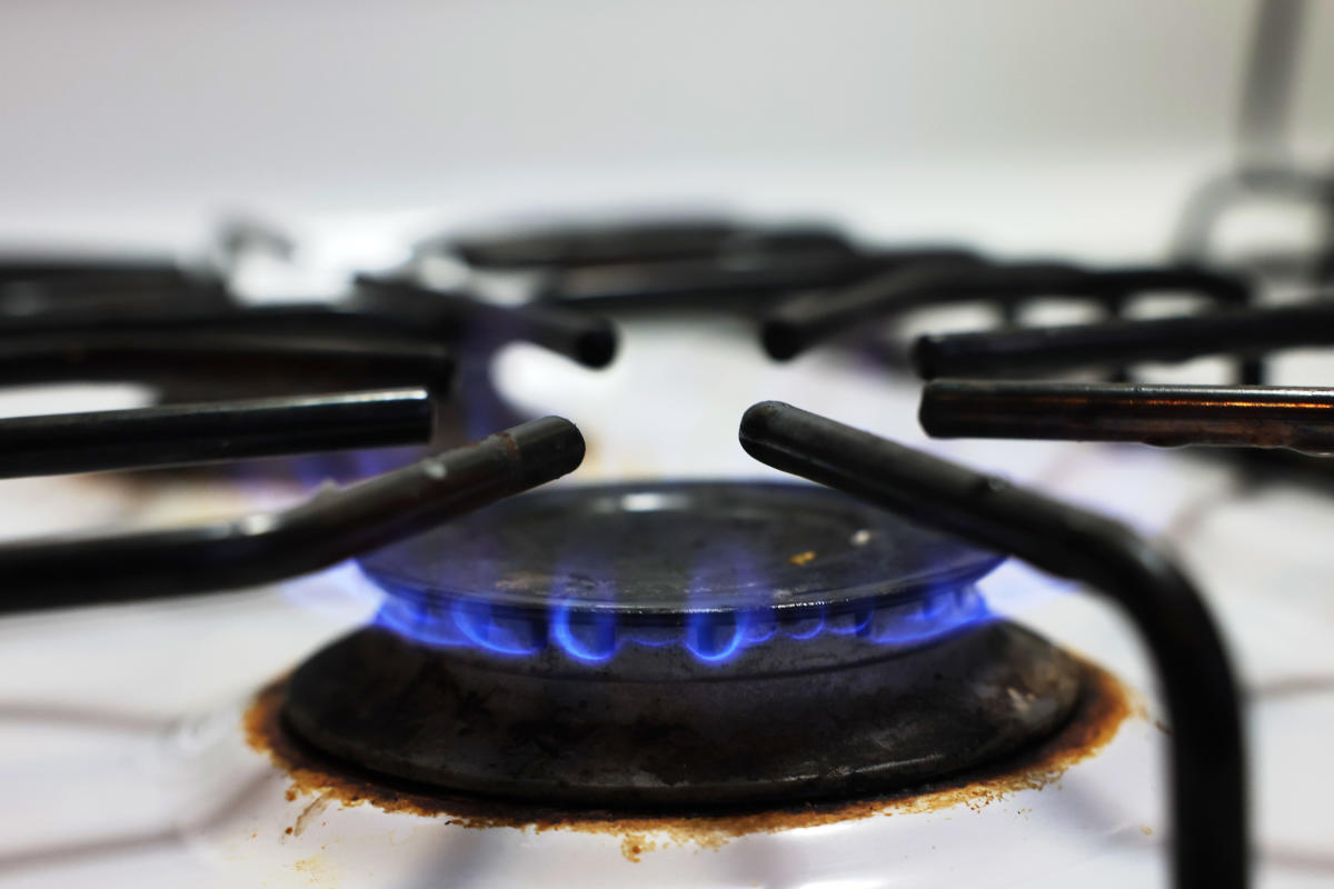 Should Gas Stoves Be Banned? This Study Shows Their Potential Harm