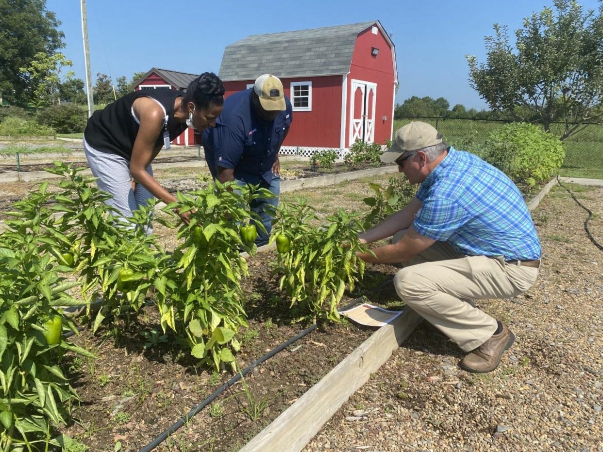 Donyel Barber, Marcus Cyprian and David Fogarty work together to provide healthy food options through the Gaston County North Carolina Cooperative Extension.